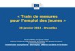 « Train de mesures  pour l’emploi des jeunes » 28 janvier 2013 - Bruxelles