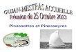 GUJAN-MESTRAS ACCUEILLE  Réunion du 25 Octobre 2013