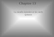 Chapitre 13