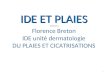 IDE ET PLAIES  MARS 2014 Florence Breton IDE unité dermatologie DU PLAIES ET CICATRISATIONS