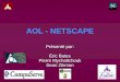 AOL - NETSCAPE