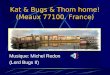 Kat & Bugs & Thom home! (Meaux 77100. France)