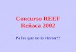 Concurso REEF Reñaca 2002