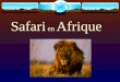 Safari  en  Afrique