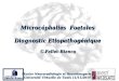 Microcéphalies  Foetales Diagnostic Etiopathogénique