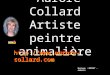 Aurore Collard Artiste peintre animalière