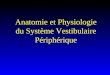 Anatomie et Physiologie du Système Vestibulaire Périphérique