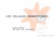 LES CELLULES DENDRITIQUES        Franck HALARY        UMR CNRS 5164 (Bordeaux)