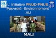 L ’ Initiative  PNUD-PNUE  Pauvreté -Environnement  AU