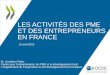 Les activités des PME et des entrepreneurs en  France