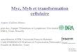 Myc, Myb et transformation cellulaire