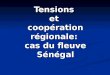 Tensions et  coopération régionale:  cas du fleuve Sénégal