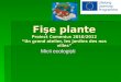 F ișe  plante Proiect Comenius 2010/2012 “ Un grand atelier, les jardins des nos villes ”