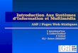 Introduction Aux Systèmes d’Information et Multimédia