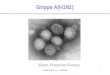 Grippe A(H1N1)