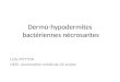 Dermo-hypodermites  bactériennes nécrosantes