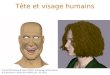 Tte et visage humains