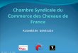 Chambre Syndicale du Commerce des Chevaux de France