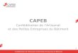 CAPEB Confédération de l’Artisanat et des Petites Entreprises du Bâtiment