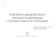 Indications géographiques, marques et génériques L’exemple original de Champagne