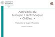 Activités du Groupe Electronique « GrElec »