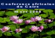 Conference africaine du Caire Mars 2008