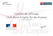 Comité de pilotage Club Asso Emploi Ile-de-France Lundi 9 juillet 2012