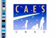 Le CAES a une organisation pyramidale à trois niveaux  le niveau nationa l les  régions  
