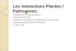 Les Interactions Plantes / Pathogènes