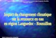 Impact du changement climatique sur la ressource en eau en région Languedoc - Roussillon