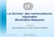 La révision  des nomenclatures régionales Illustration française