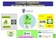 Le projet Digiplante : un réseau de Collaborations
