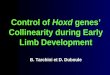 Control of  Hoxd  genes’ Collinearity during Early Limb Development B. Tarchini et D. Duboule