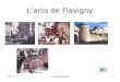 L’anis de Flavigny