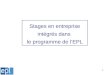 Stages en entreprise intégrés dans  le programme de l’EPL