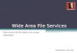 Wide Area File Services