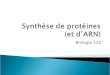 Synthèse de protéines    (et d’ARN)