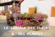 LE LANGAGE DES FLEURS  &  DES PLANTES