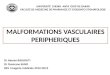MALFORMATIONS VASCULAIRES PERIPHERIQUES