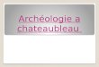 Archéologie a  chateaubleau