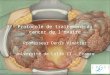 Protocole de traitement du cancer de l’ovaire Professeur Denis  Vinatier