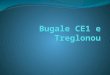 Bugale CE1 e  Treglonou