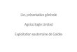 L’or, présentation générale Agnico Eagle Limited Exploitation souterraine de Goldex
