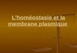 L’homéostasie et la membrane plasmique