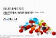 Business  IntelligencE