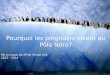 Pourquoi les pingouins vivent au P´le Nord? Par la classe de 2P de lâ€™©cole  XXX 2013 â€“ 2014