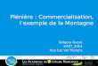 Plénière : Commercialisation, l’exemple de la Montagne
