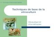 Techniques de base de la vitroculture