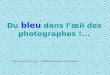 Du bleu dans lâ€™“il des photographes !