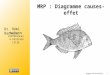 MRP  : Diagramme  causes-effet